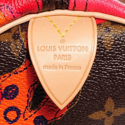 Louis Vuitton Monogram Ramages Speedy 30 Grenade 6 of 7