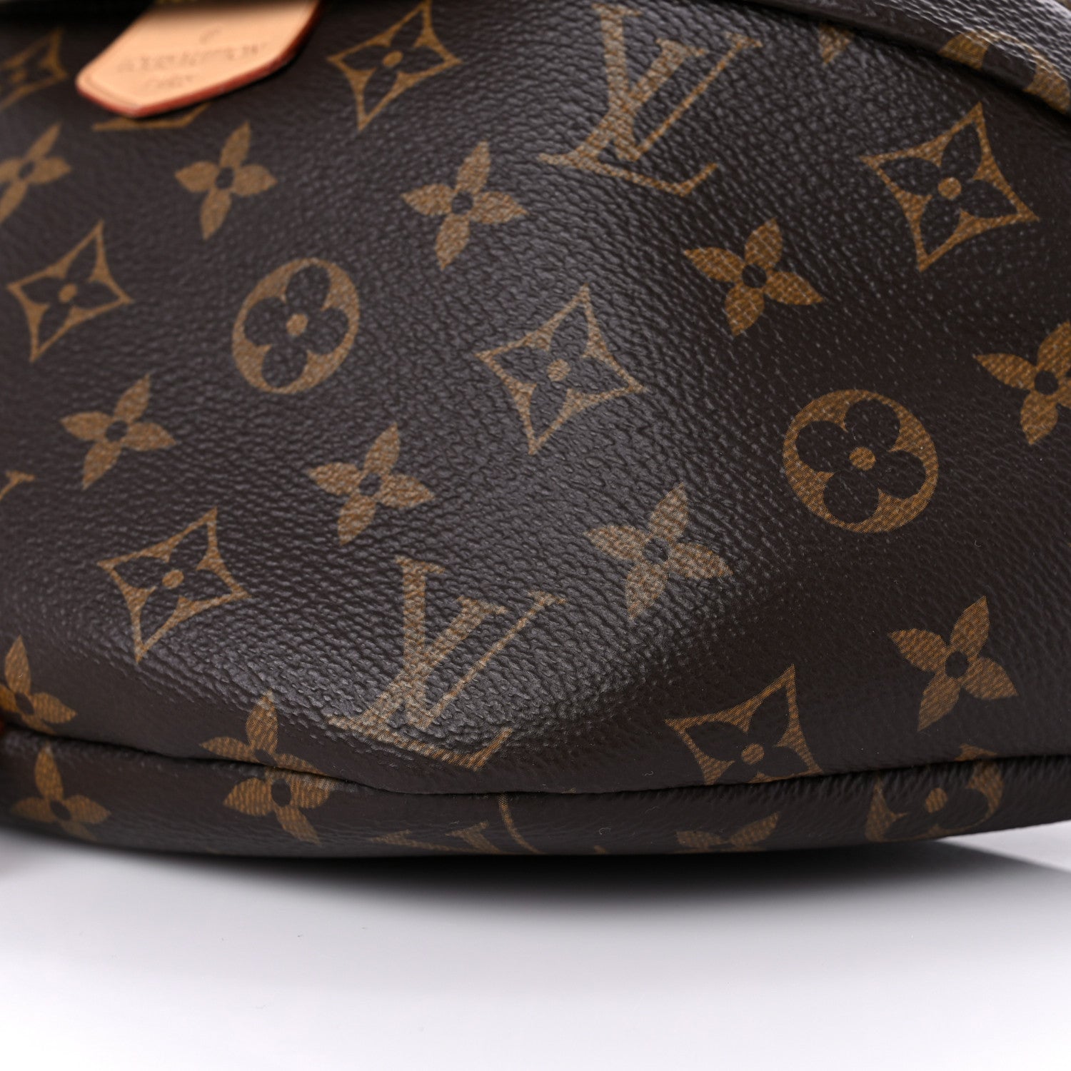 Louis Vuitton Monogram Bumbag 8 of 12