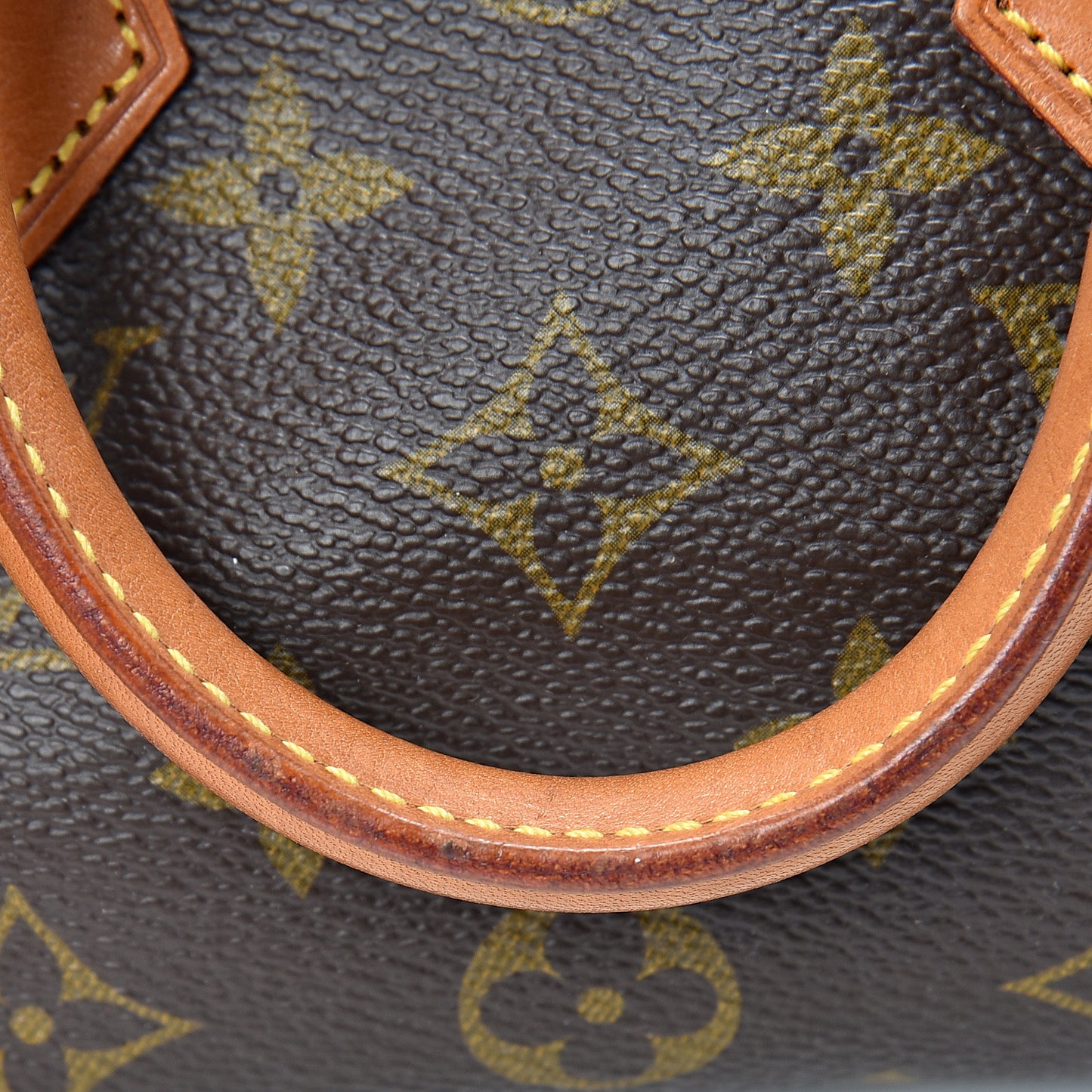 Monogram Mini Sac HL Speedy