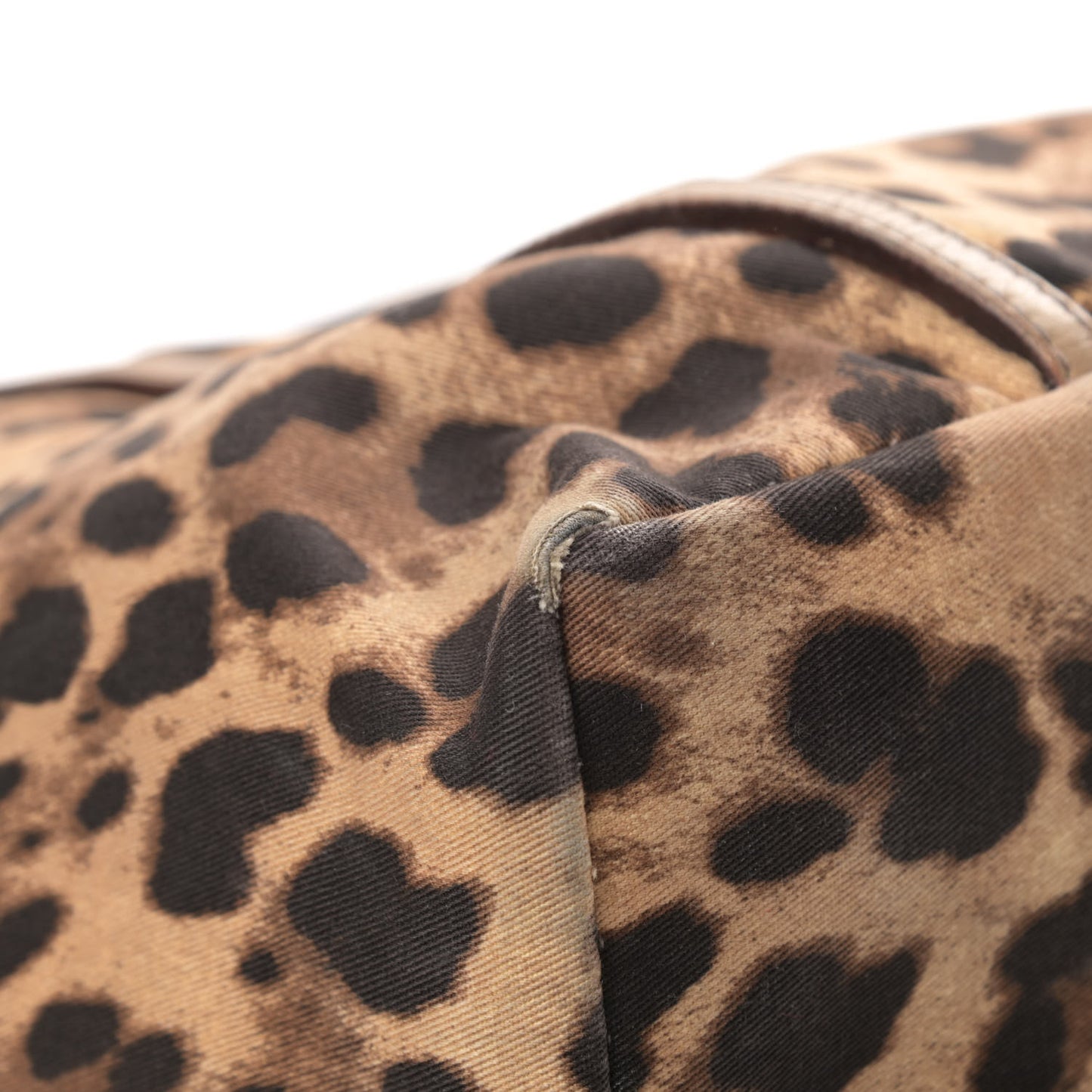 Canvas Leopard Print Calfskin Animalier Tote Beige