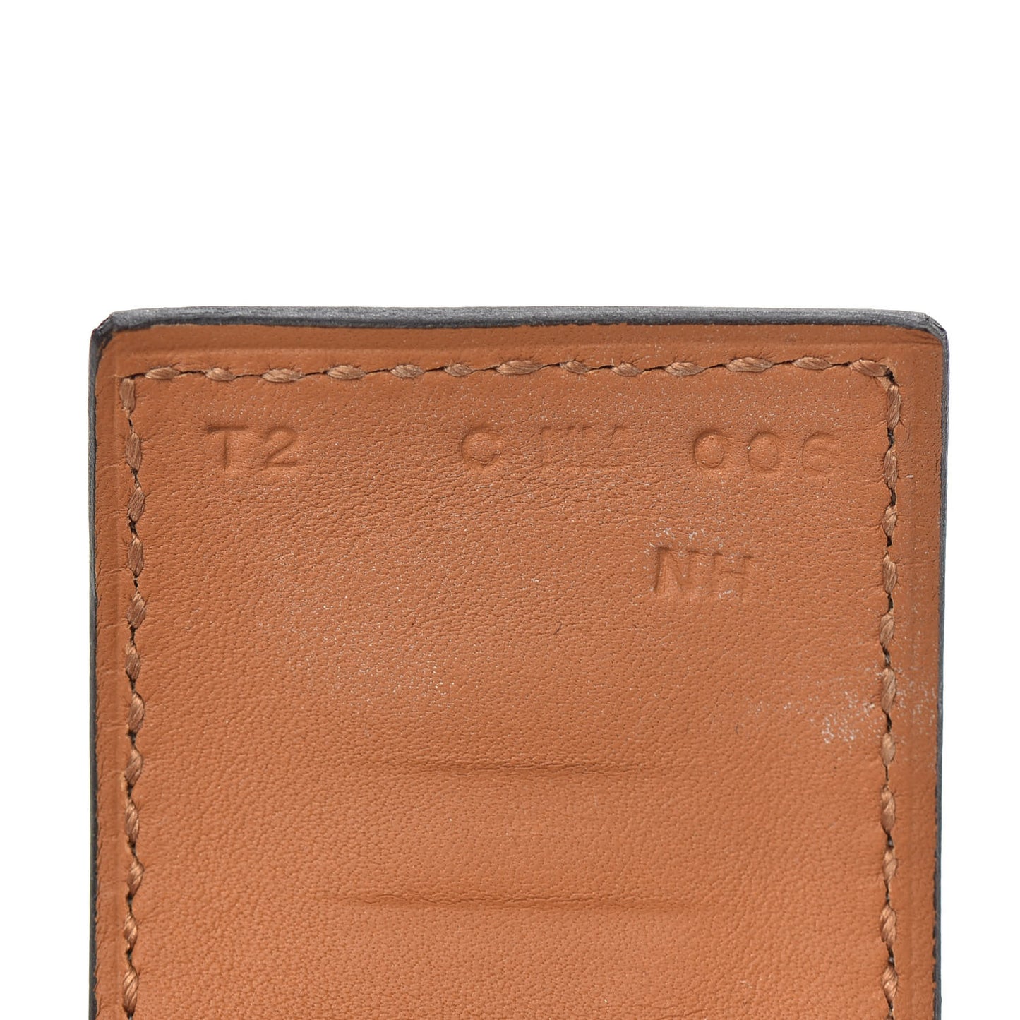 Lizard Collier De Chien CDC Bracelet T2 Ombre
