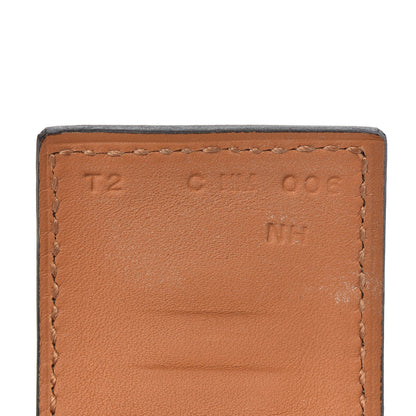 Hermes Lizard Collier De Chien CDC Bracelet T2 Ombre 5 of 7