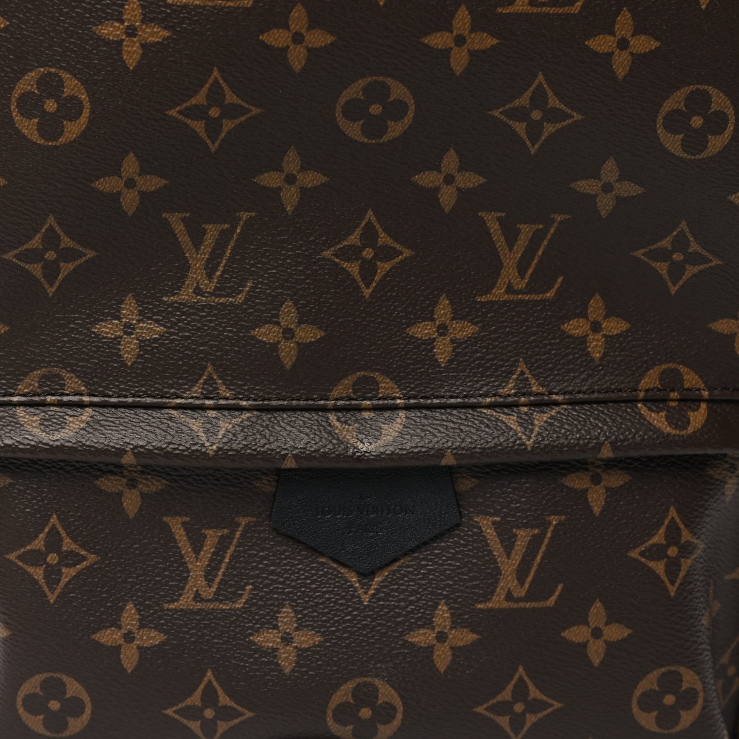 Monogram Palm Springs Backpack MM