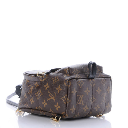 Louis Vuitton Monogram Palm Springs Backpack Mini 4 of 7