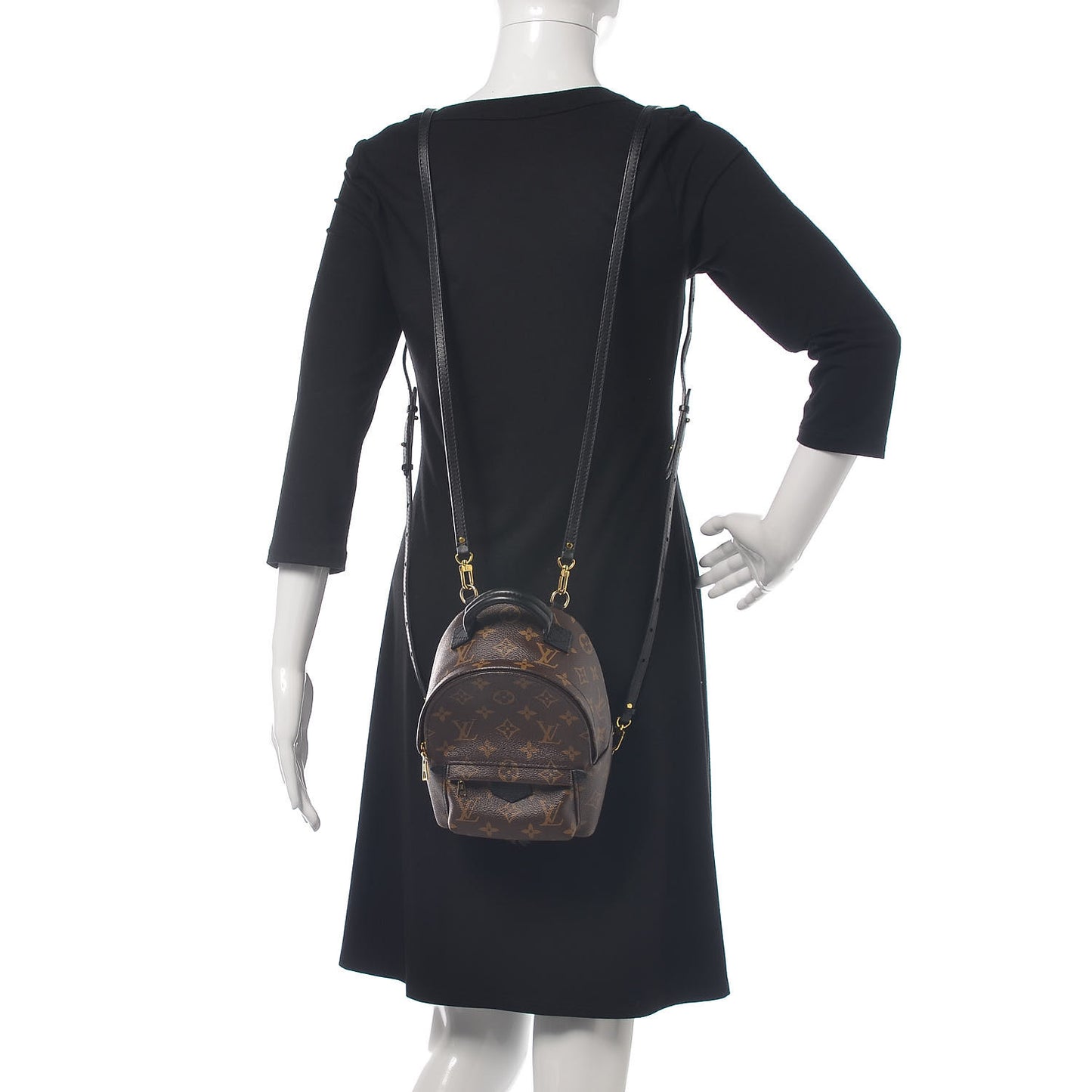 Monogram Palm Springs Backpack Mini