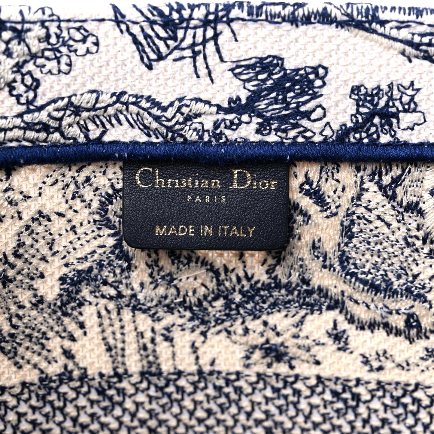 Canvas Embroidered Medium Dioriviera Toile De Jouy Book Tote Blue