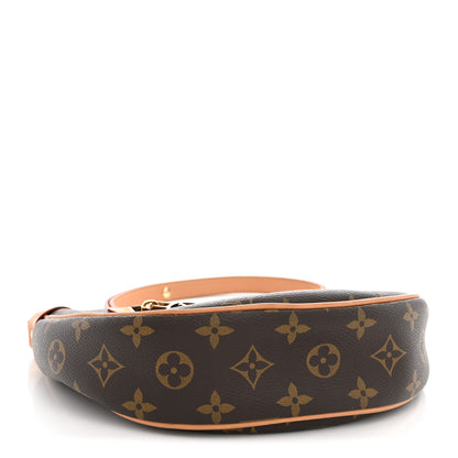 Louis Vuitton Monogram Loop 4 of 11