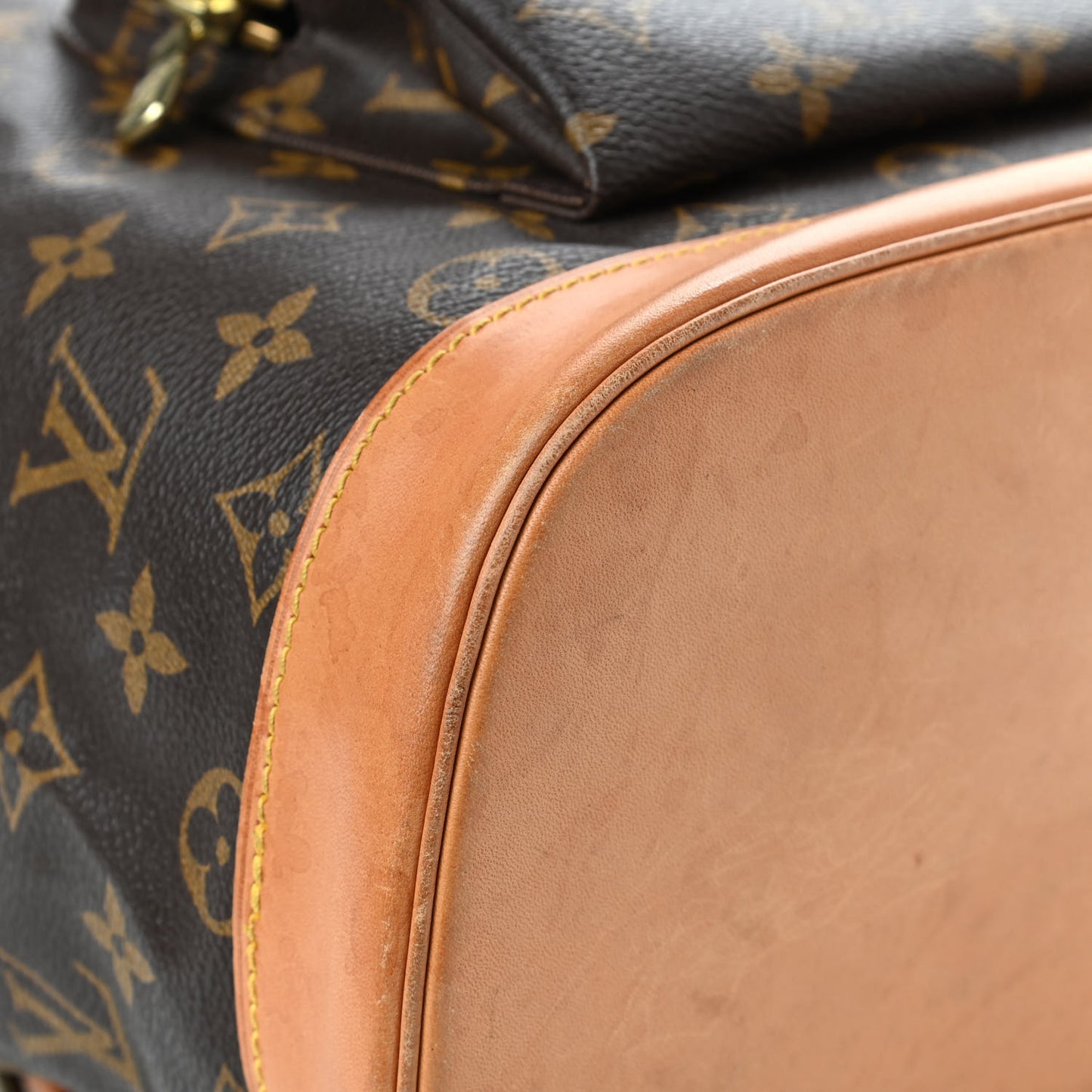 Monogram Montsouris GM Backpack