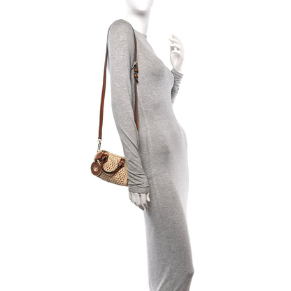 Louis Vuitton Raffia Nano Speedy Natural Tan 2 of 10