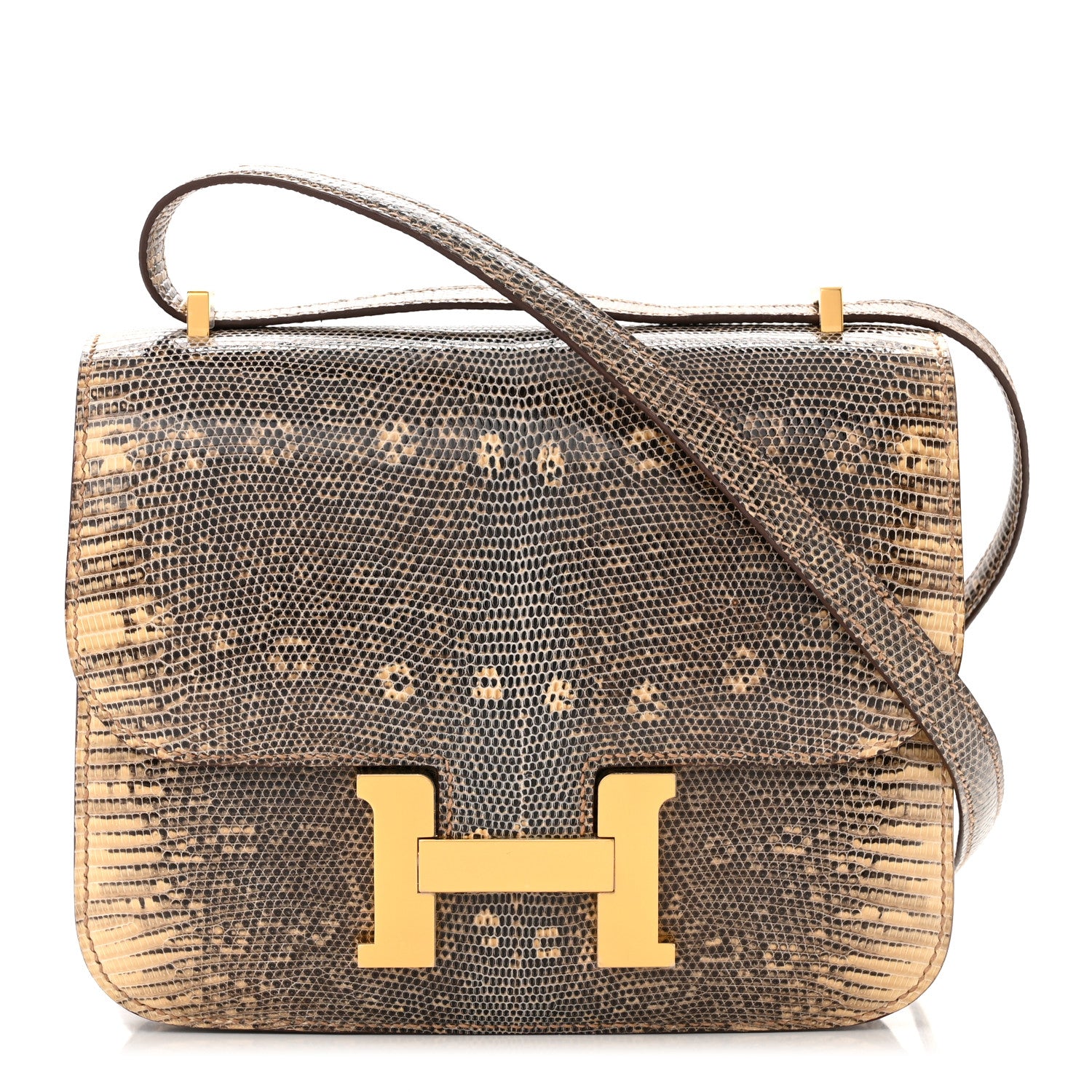 Hermes Lizard Constance 18 Ombre 1 of 11