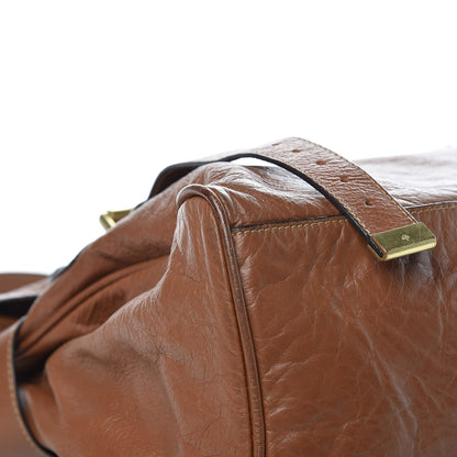 Mulberry Soft Buffalo Medium Alexa Oak 10 of 16