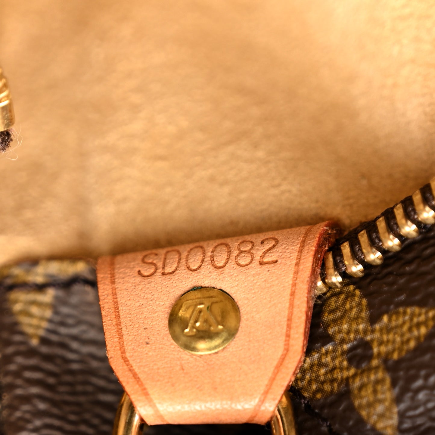 LOUIS VUITTON Monogram Luco