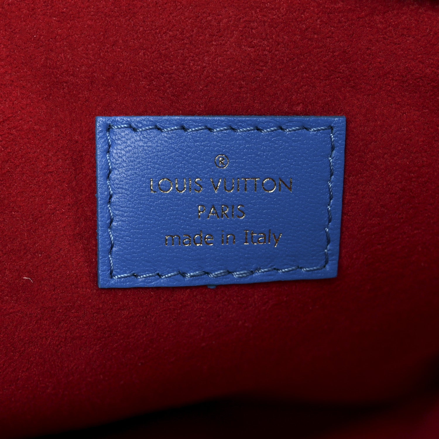 Louis Vuitton Lambskin Embossed Monogram Vuittamins Coussin PM