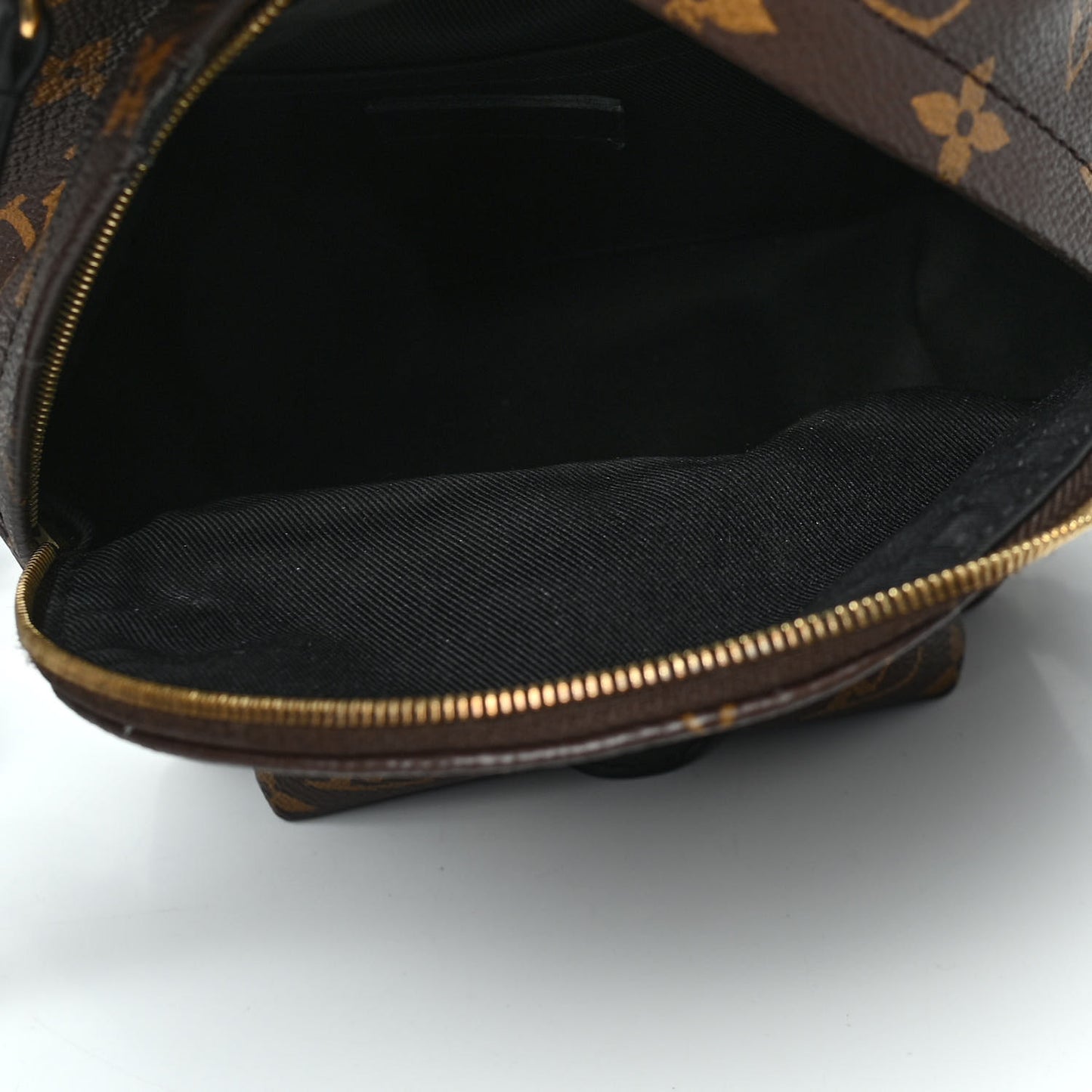 Monogram Palm Springs Backpack Mini