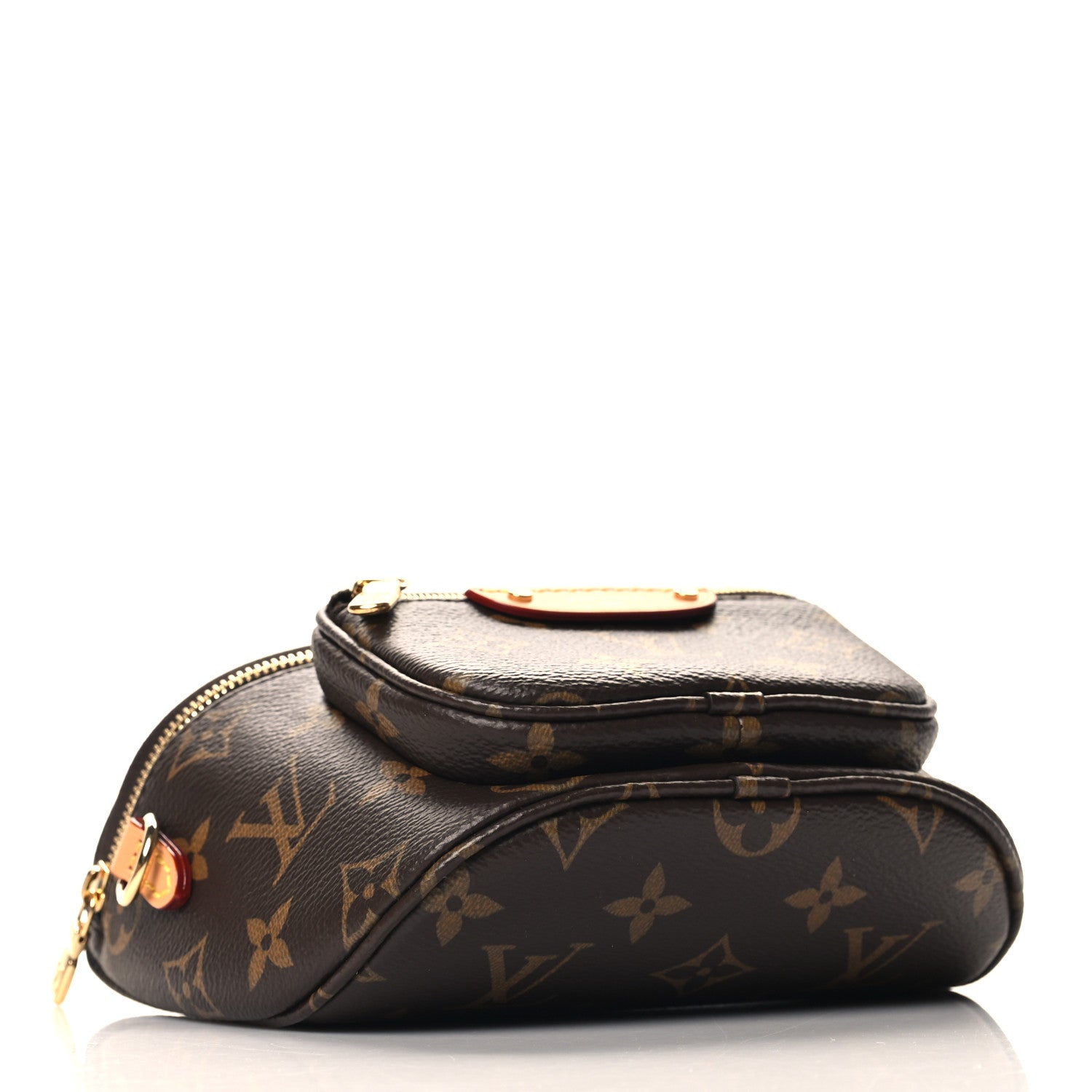 Louis Vuitton Monogram Mini Bumbag 4 of 9