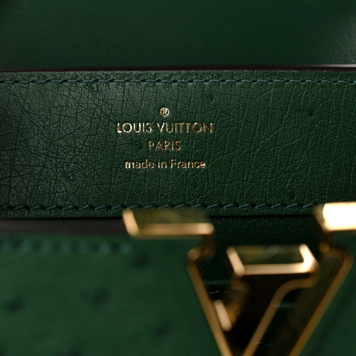 Louis Vuitton Ostrich Capucines Mini Mint 6 of 10