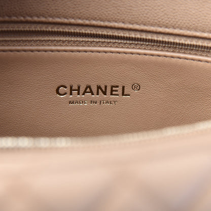 Chanel Caviar Lizard Quilted Large Coco Handle Flap Beige 7 of 13