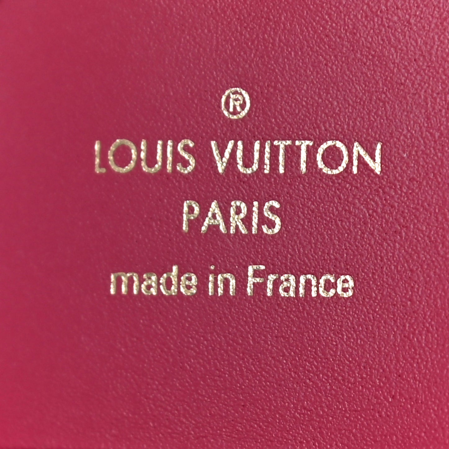 Monogram Small Kirigami Pochette Insert Fuchsia