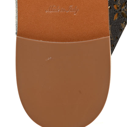 Louis Vuitton Monogram Sunny Flat Thong Sandals 37 Brown 8 of 12