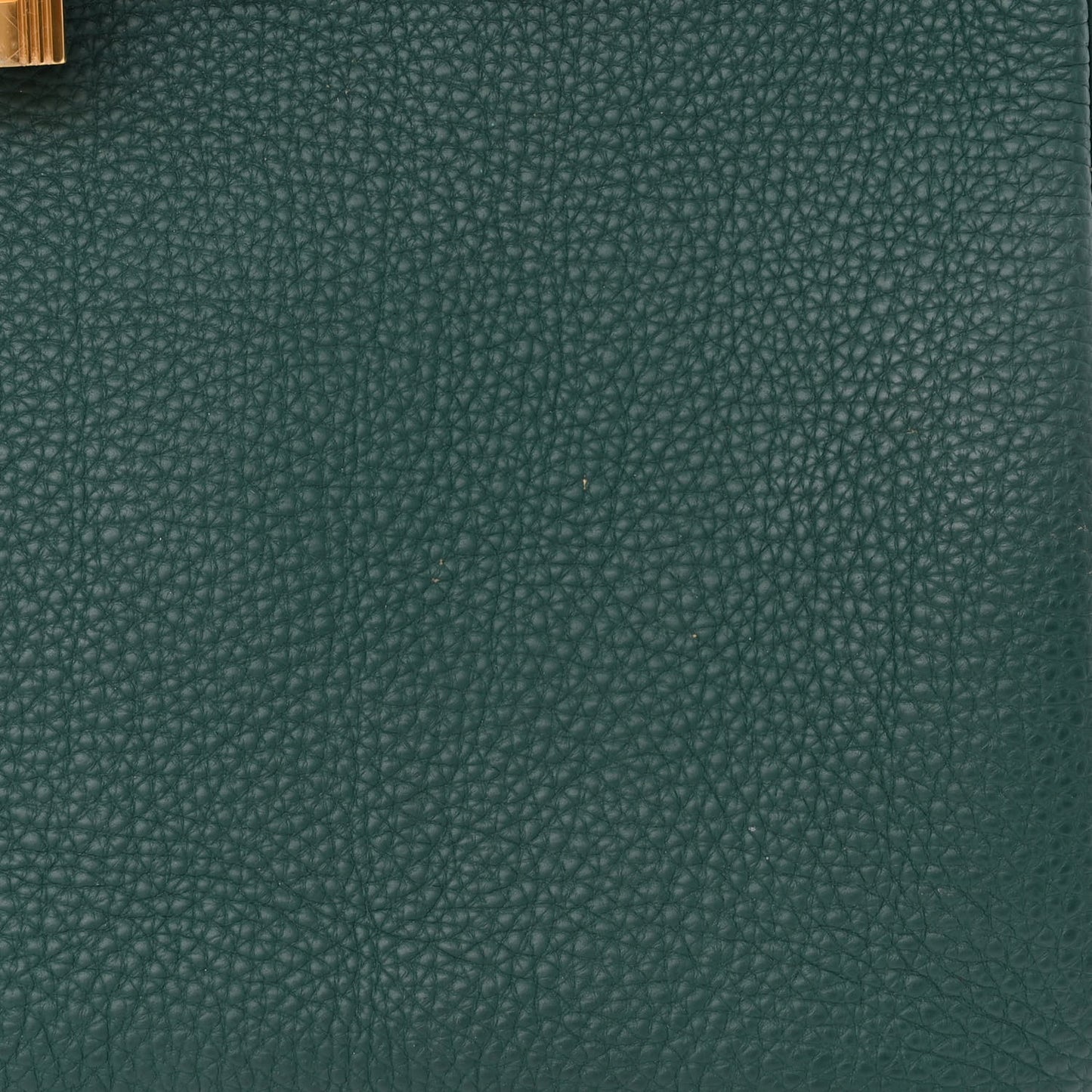 Togo Birkin 30 Malachite