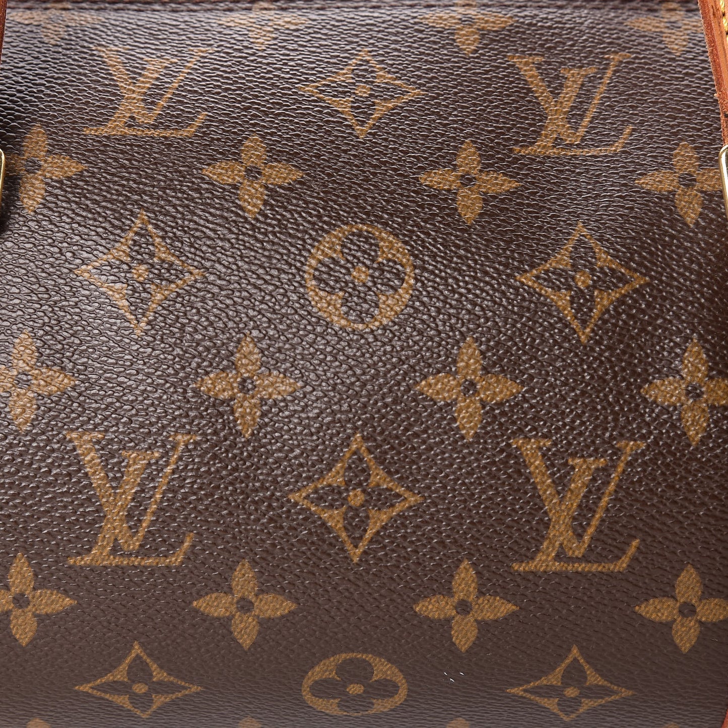 Monogram Papillon 30