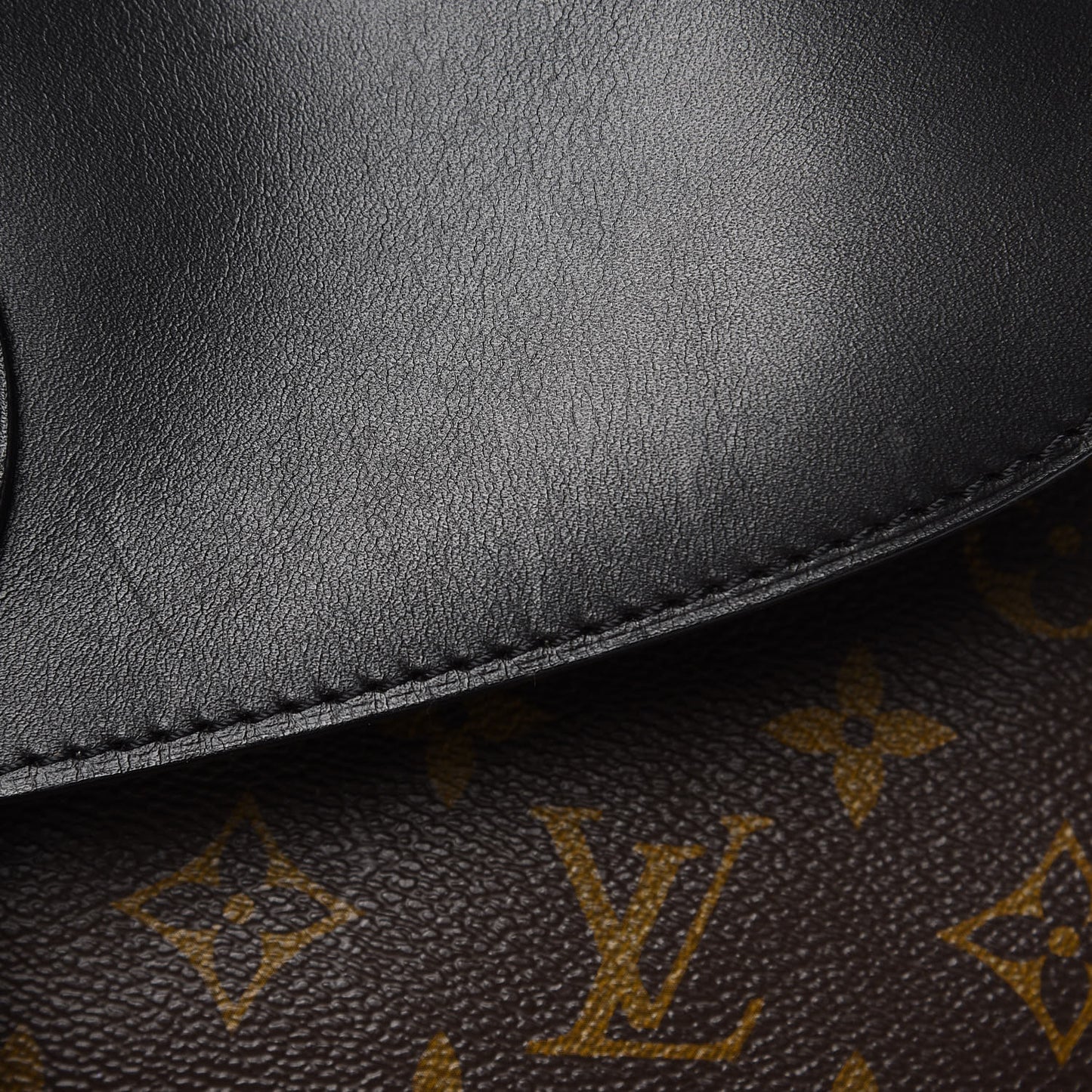 Monogram Macassar Palk Backpack