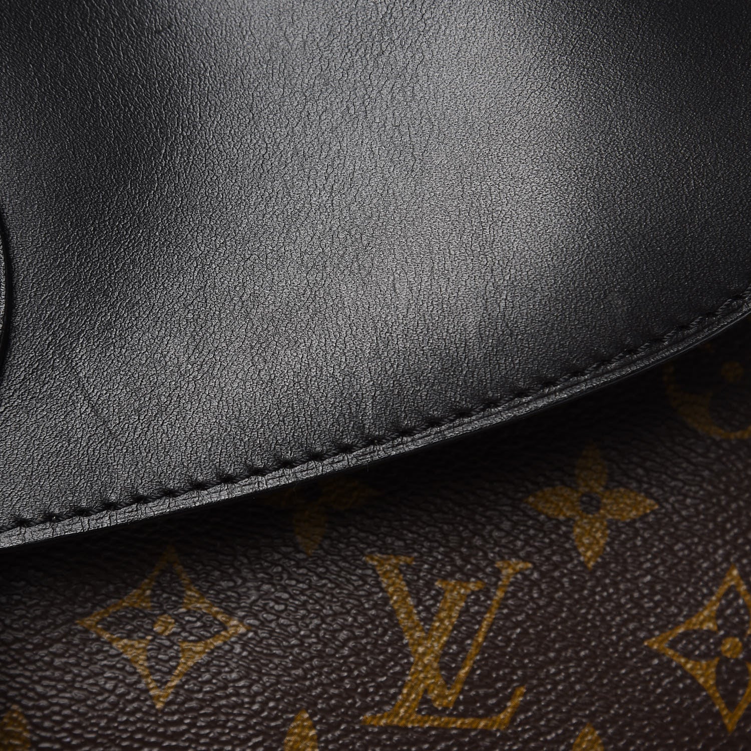 Louis Vuitton Monogram Macassar Palk Backpack 11 of 15