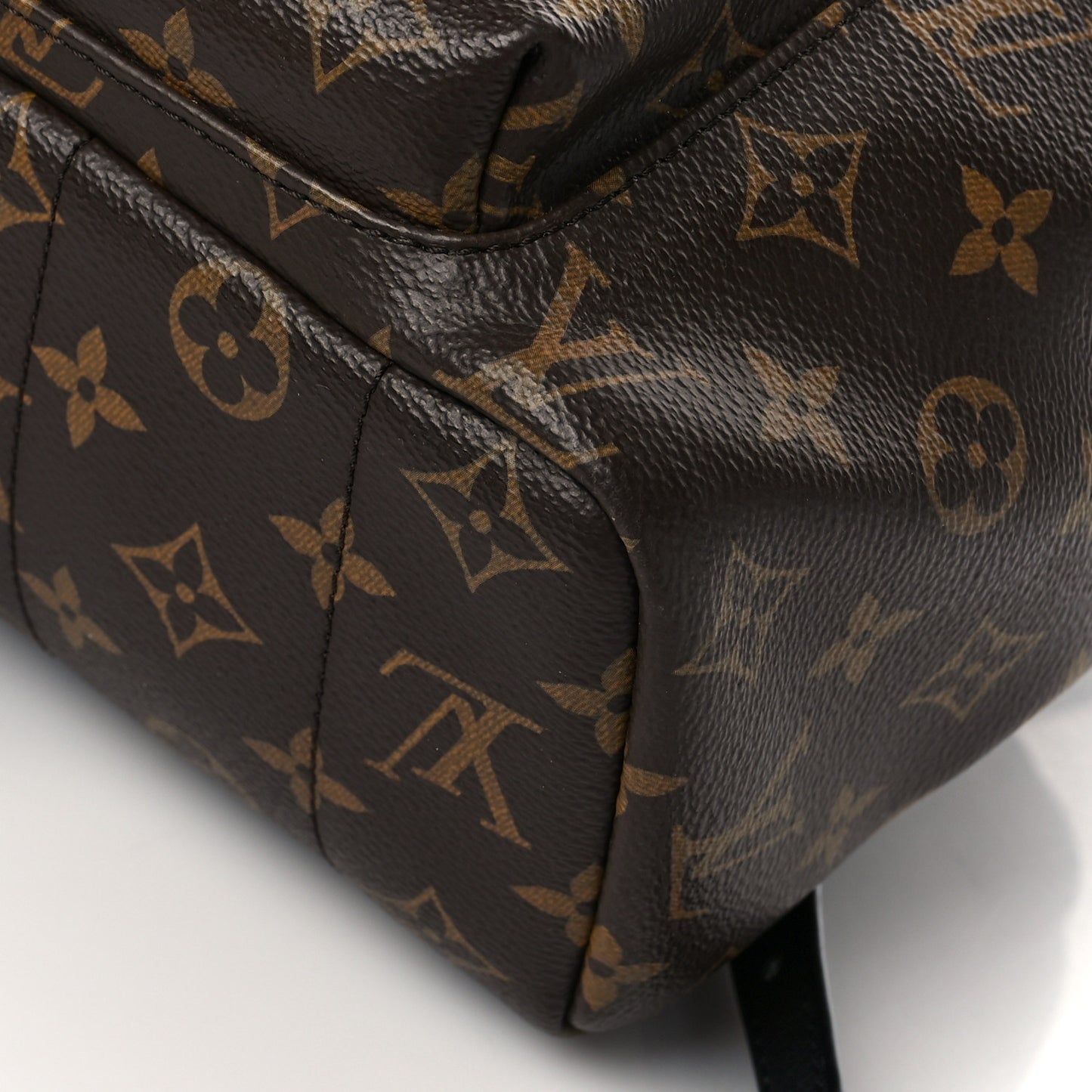 Monogram Palm Springs Backpack MM