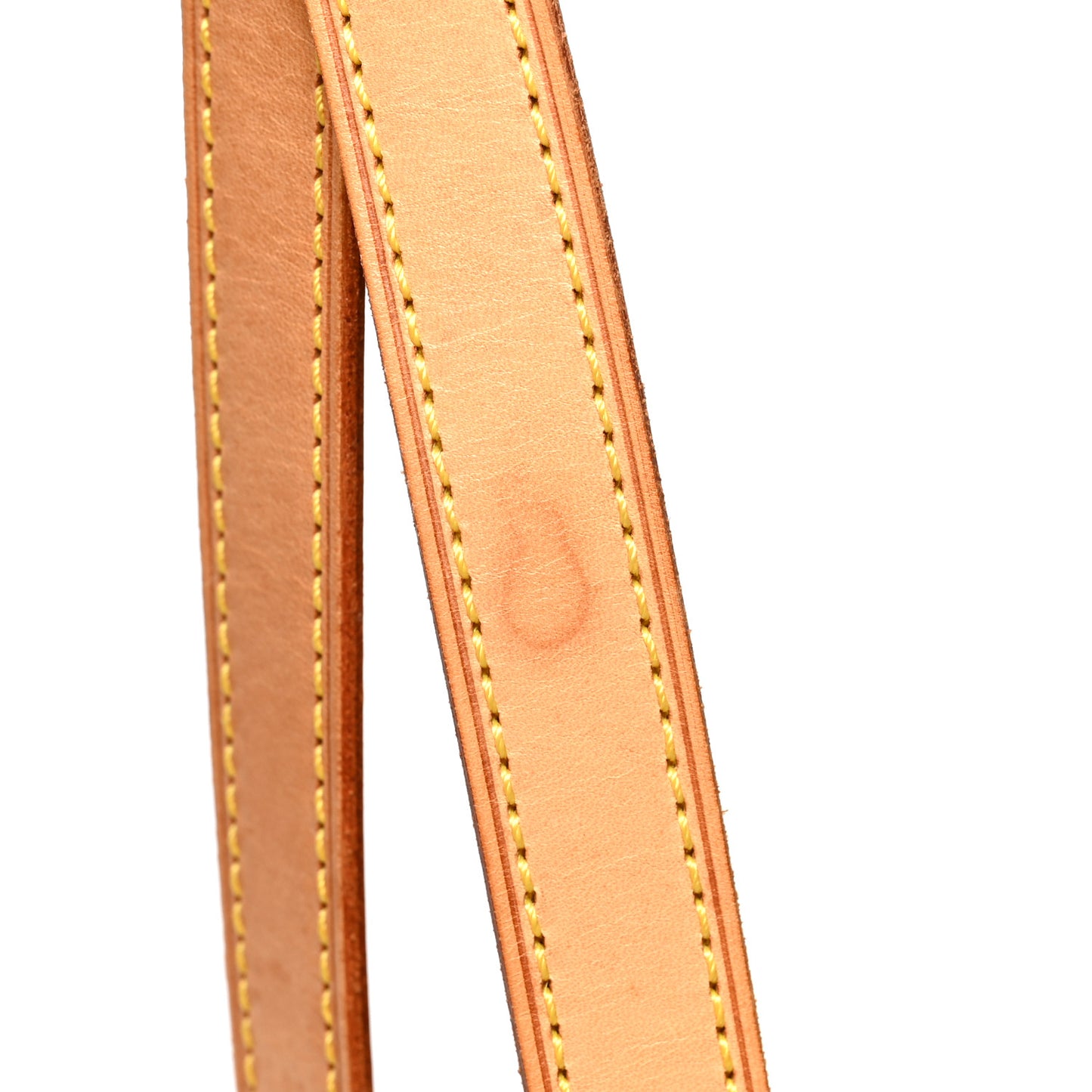 Monogram Ellipse GM Shopping Bag