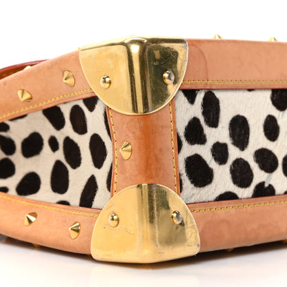 Louis Vuitton Monogram Multicolor Dalmatian Sac Rabat 8 of 9