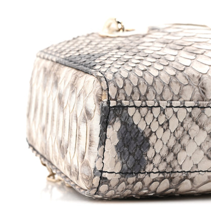 Christian Dior Snakeskin Micro Lady D-Joy Grey 9 of 10