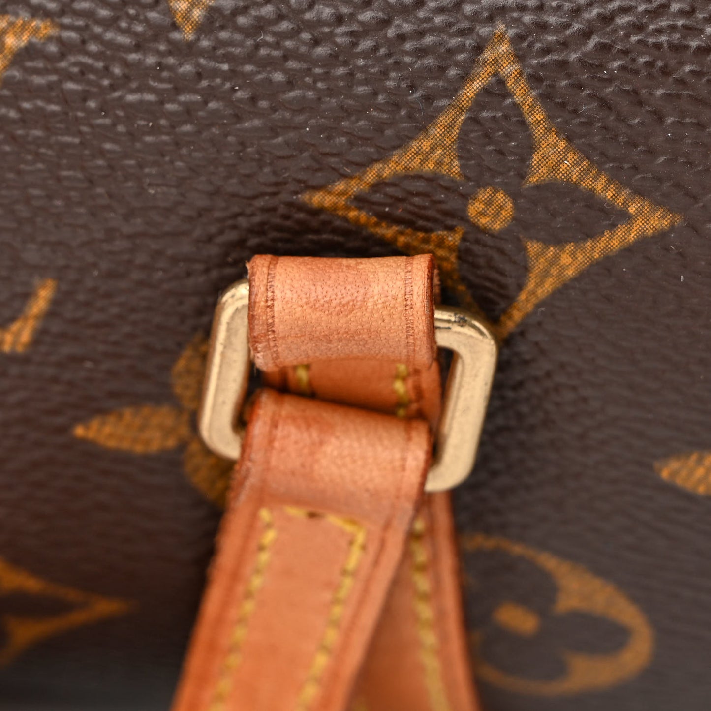 Monogram Papillon 19