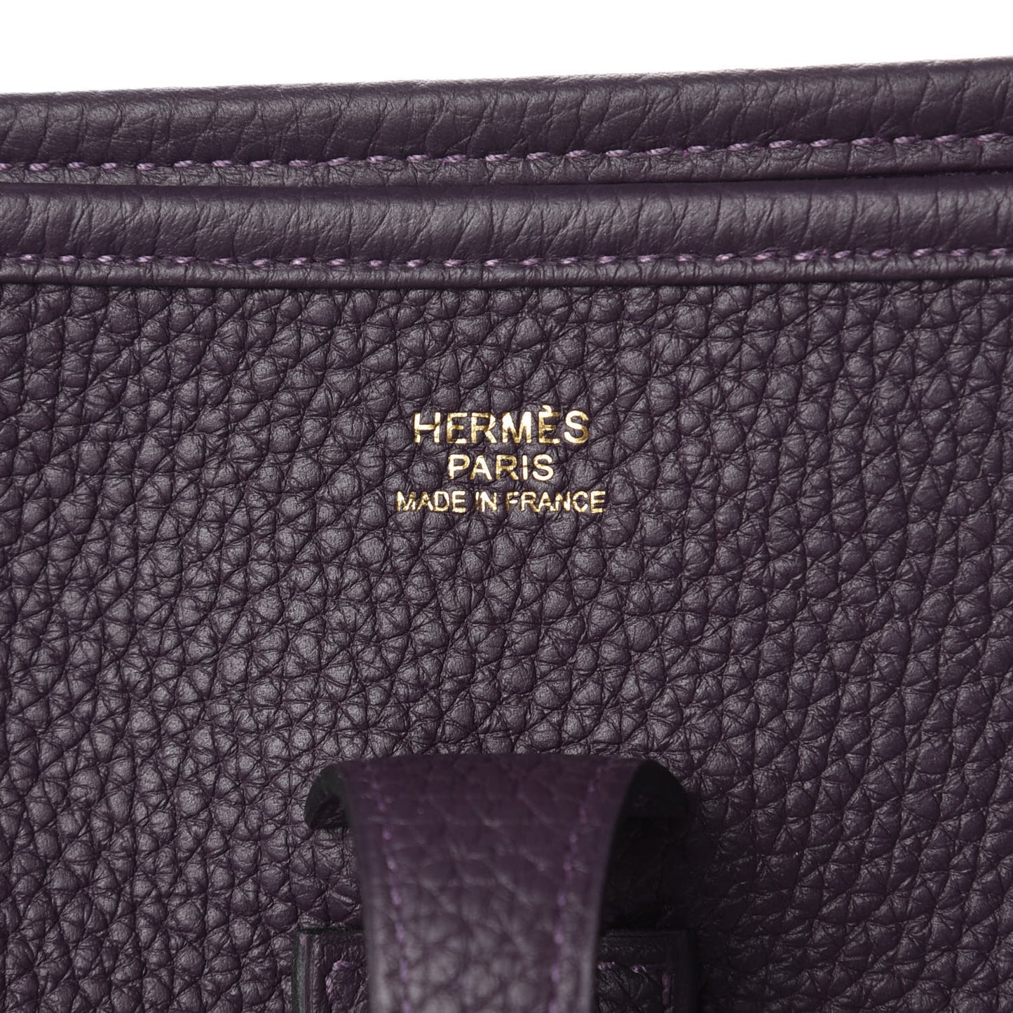 Taurillon Clemence Evelyne III PM Raisin