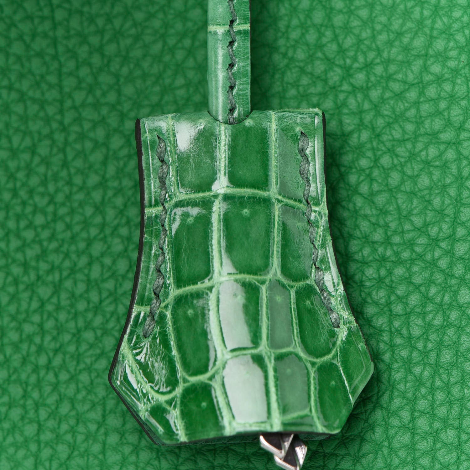 Hermes Togo Shiny Niloticus Crocodile Birkin Touch 30 Bamboo Cactus 32 of 34