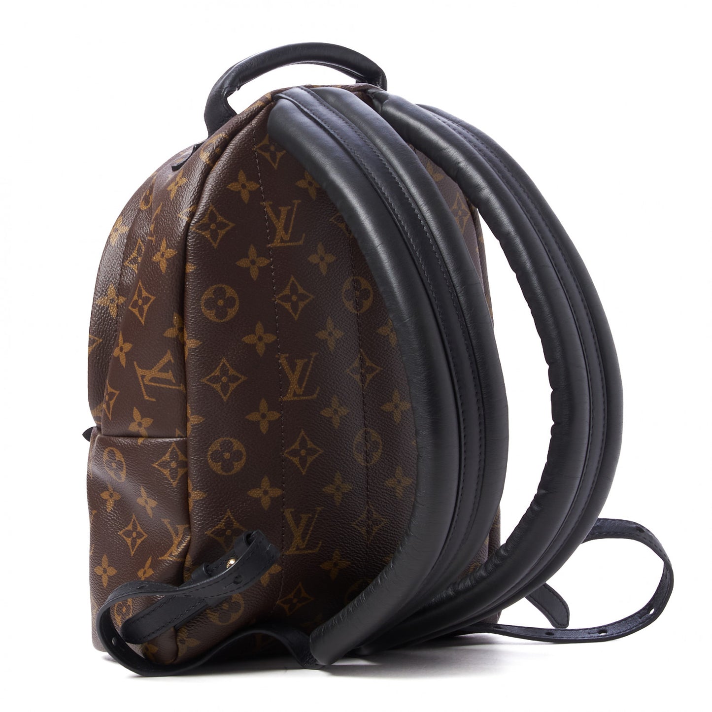 Monogram Palm Springs Backpack PM
