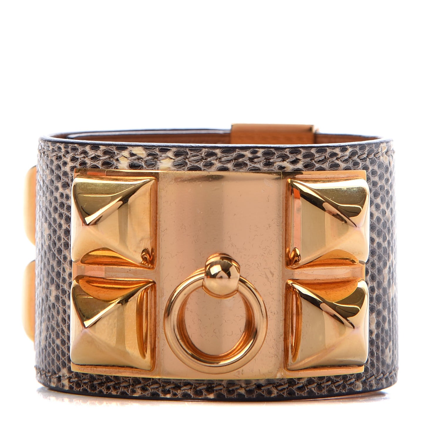 Lizard Collier De Chien CDC Bracelet T2 Ombre