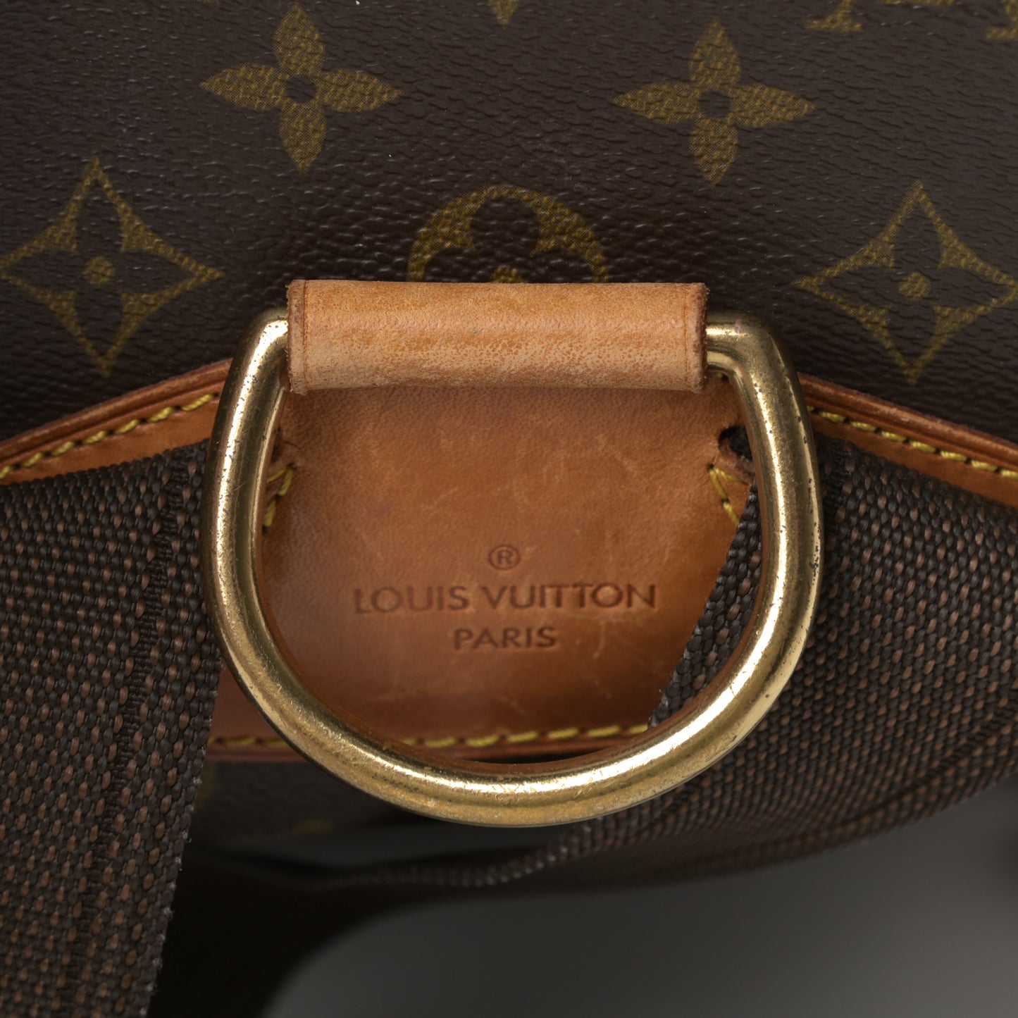 Monogram Montsouris GM Backpack