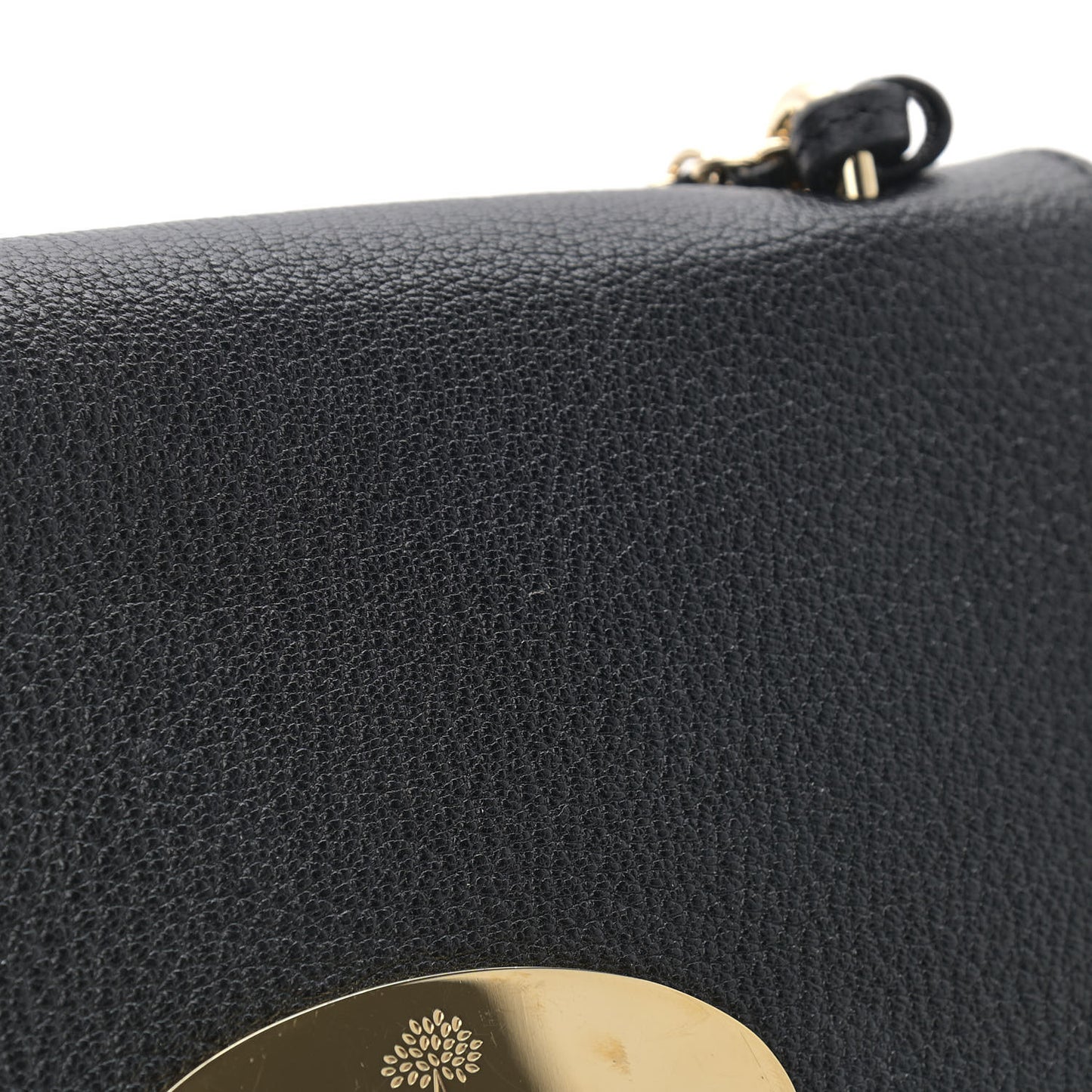 Glossy Goatskin Small Lily Flap Black