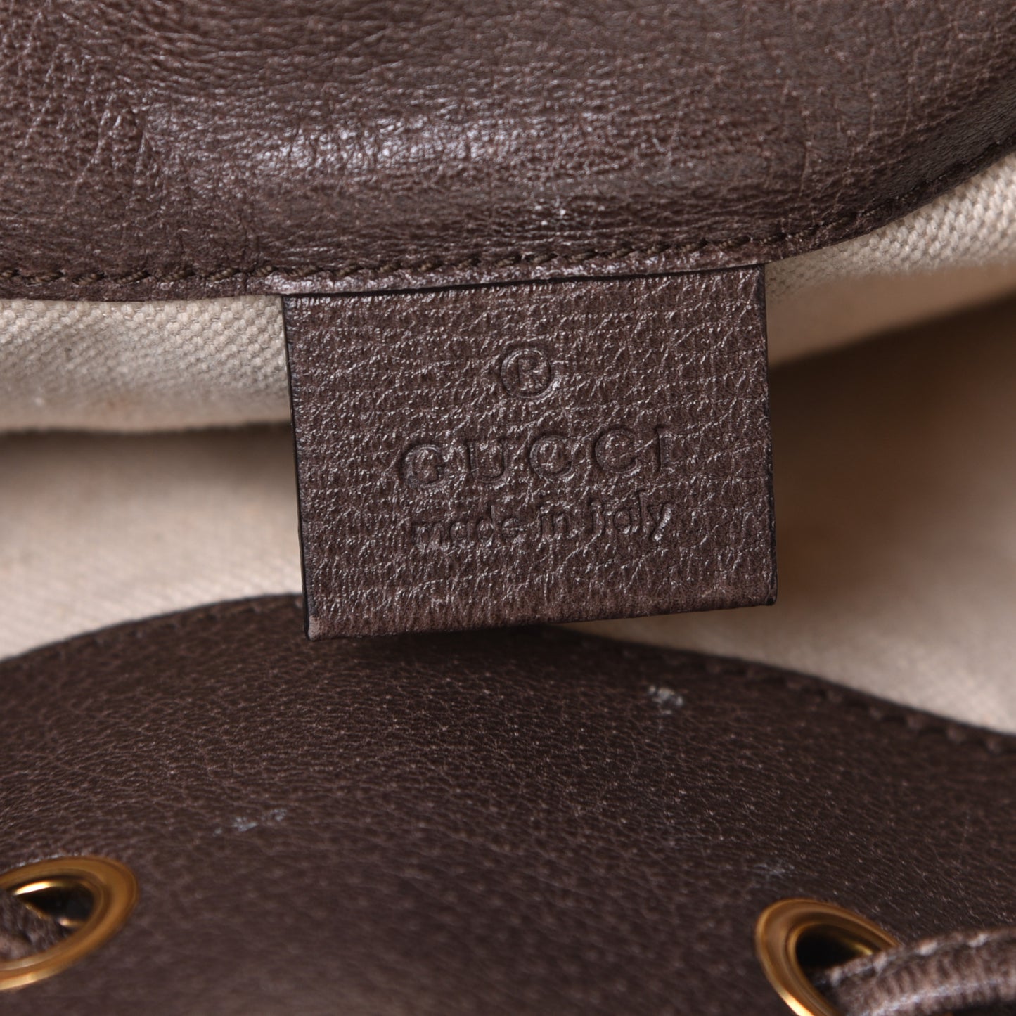 GG Supreme Monogram Web Ophidia Bucket Bag Brown