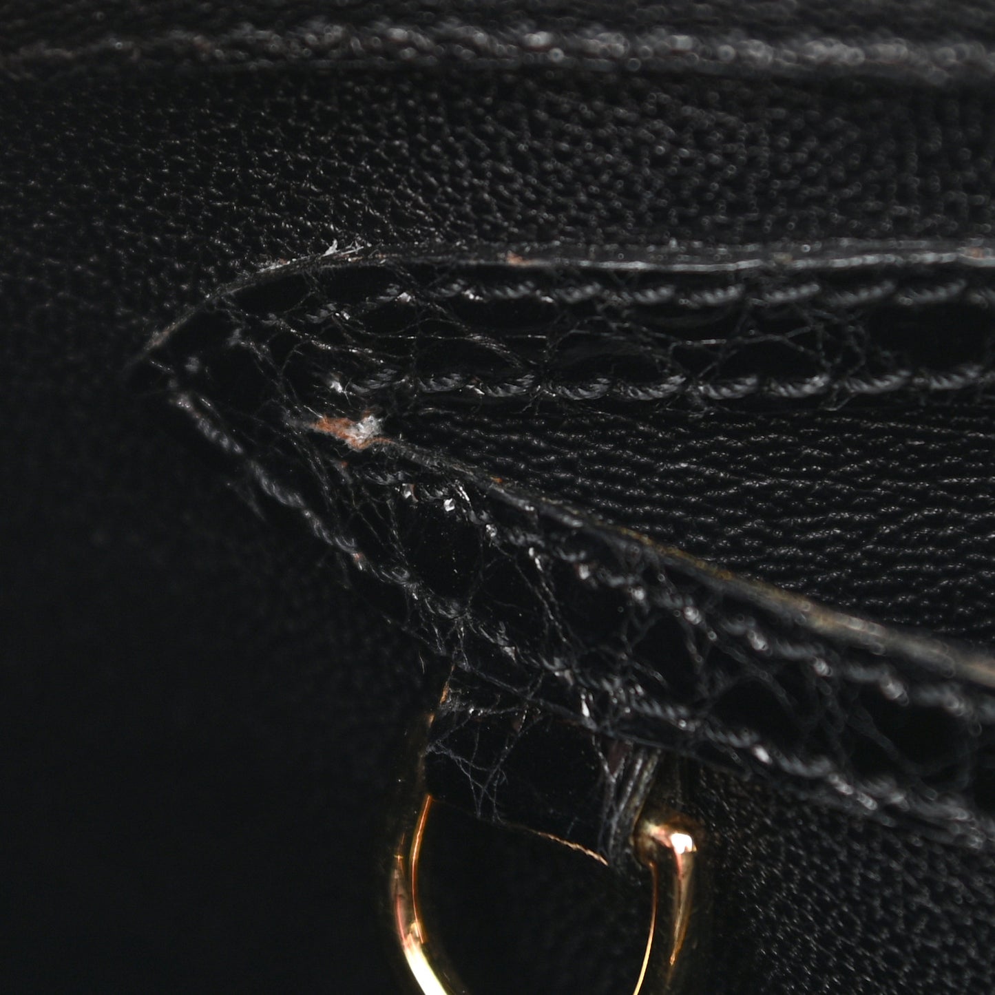 Alligator Tote Black