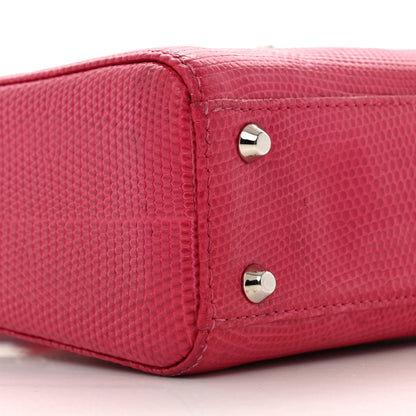 Christian Dior Lizard Swarovski Crystal Mini Lady Dior Dark Pink 9 of 15
