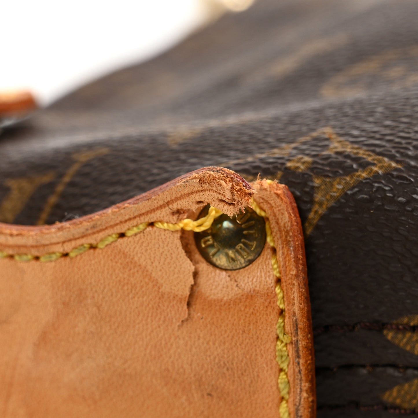 Monogram Kabul Garment Suit Cover