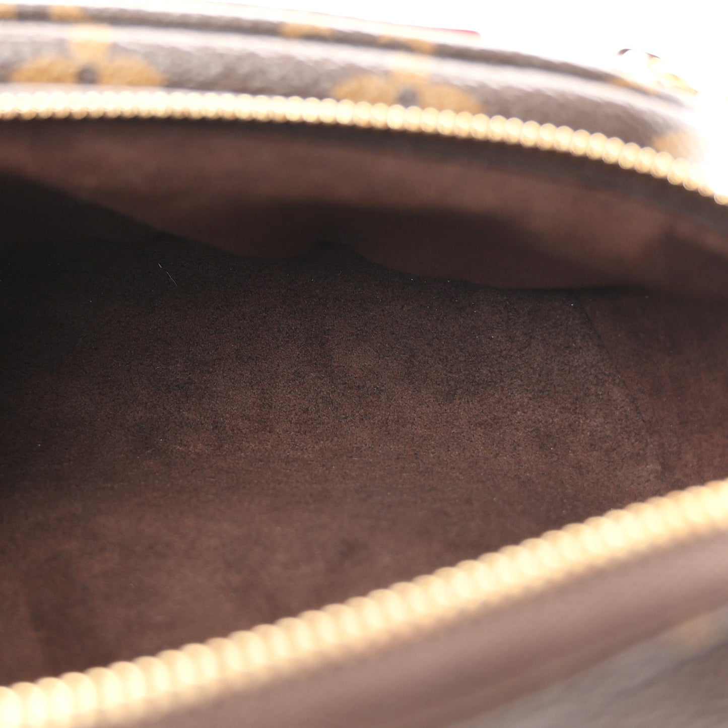 Monogram Mini Bumbag