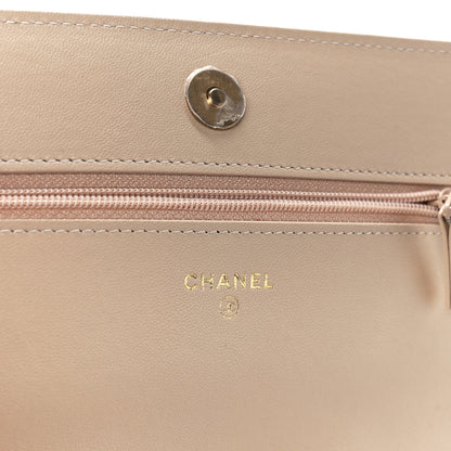 Chanel Lambskin Quilted Chanel 19 Wallet On Chain WOC Beige 6 of 12