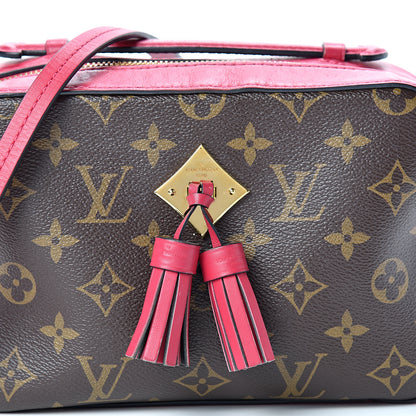Louis Vuitton Monogram Saintonge Freesia 7 of 20