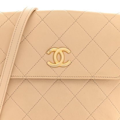 Chanel Calfskin Quilted Pearl Small About Pearls Hobo Bag Beige 8 of 13