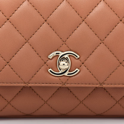 Chanel Goatskin Quilted Extra Mini Rainbow Coco Handle Flap Brown 10 of 10