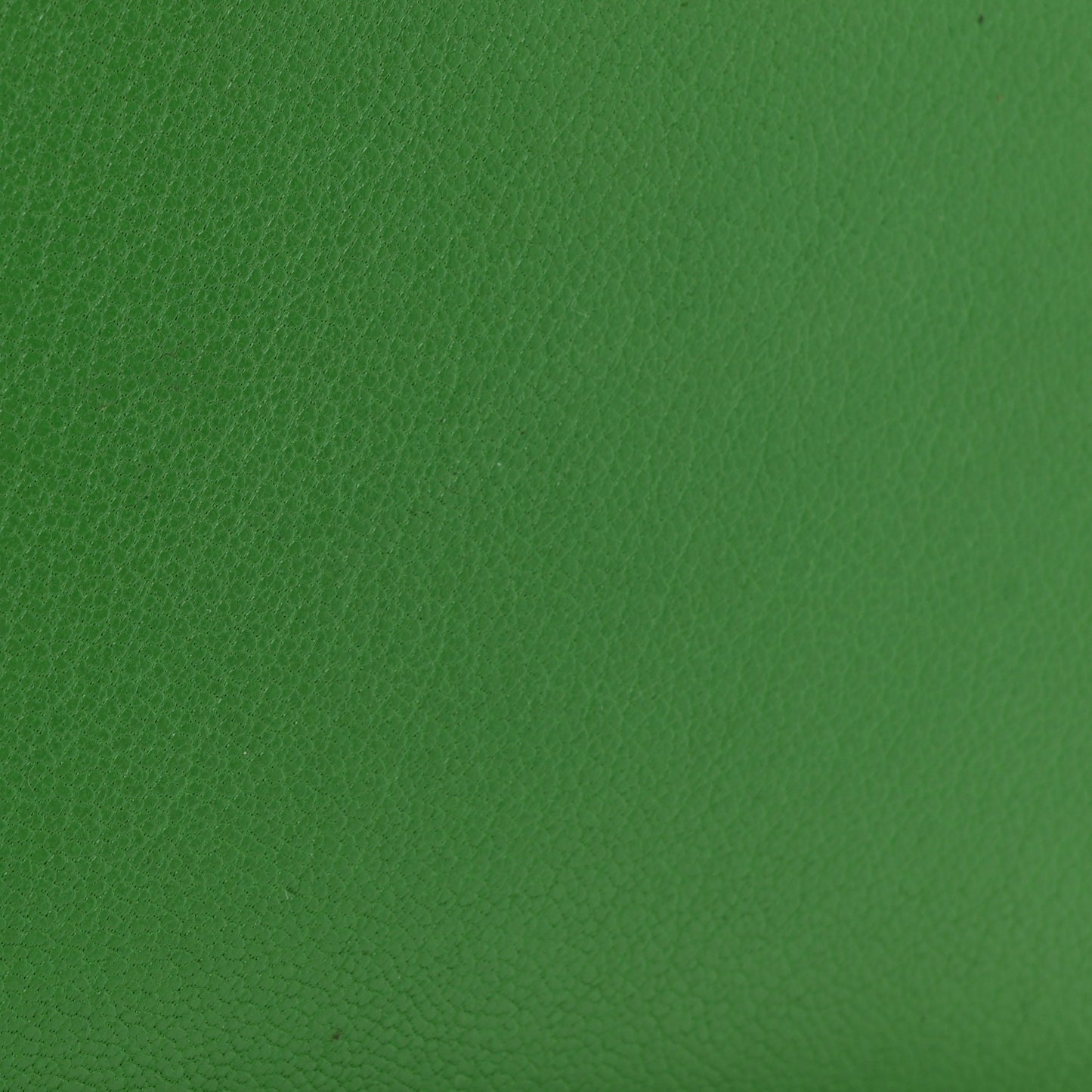 Goatskin Saddle Chain Wallet Pouch Bright Green