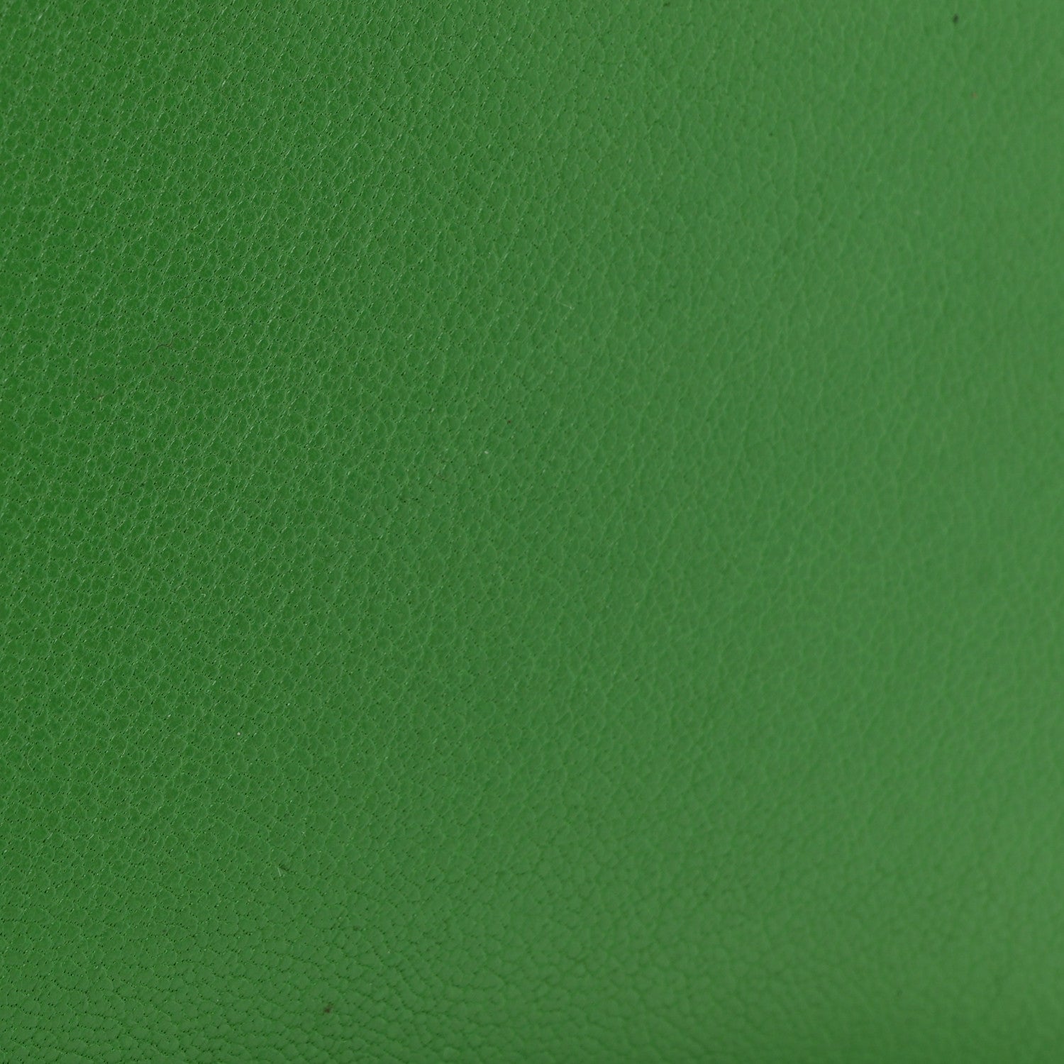 Christian Dior Goatskin Saddle Chain Wallet Pouch Bright Green 12 of 13