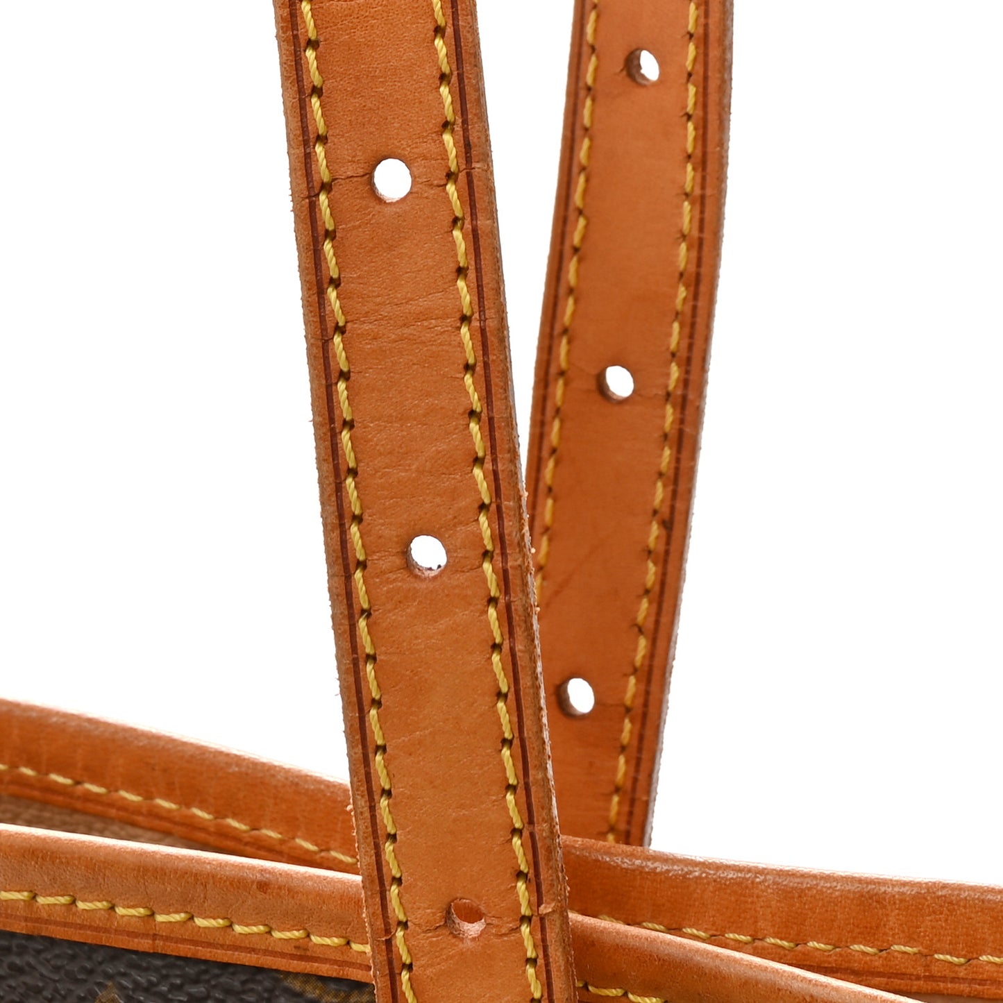 Monogram Petit Bucket 23